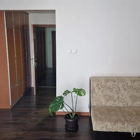Vila Zlatar Bed & Breakfast Nova Varoš